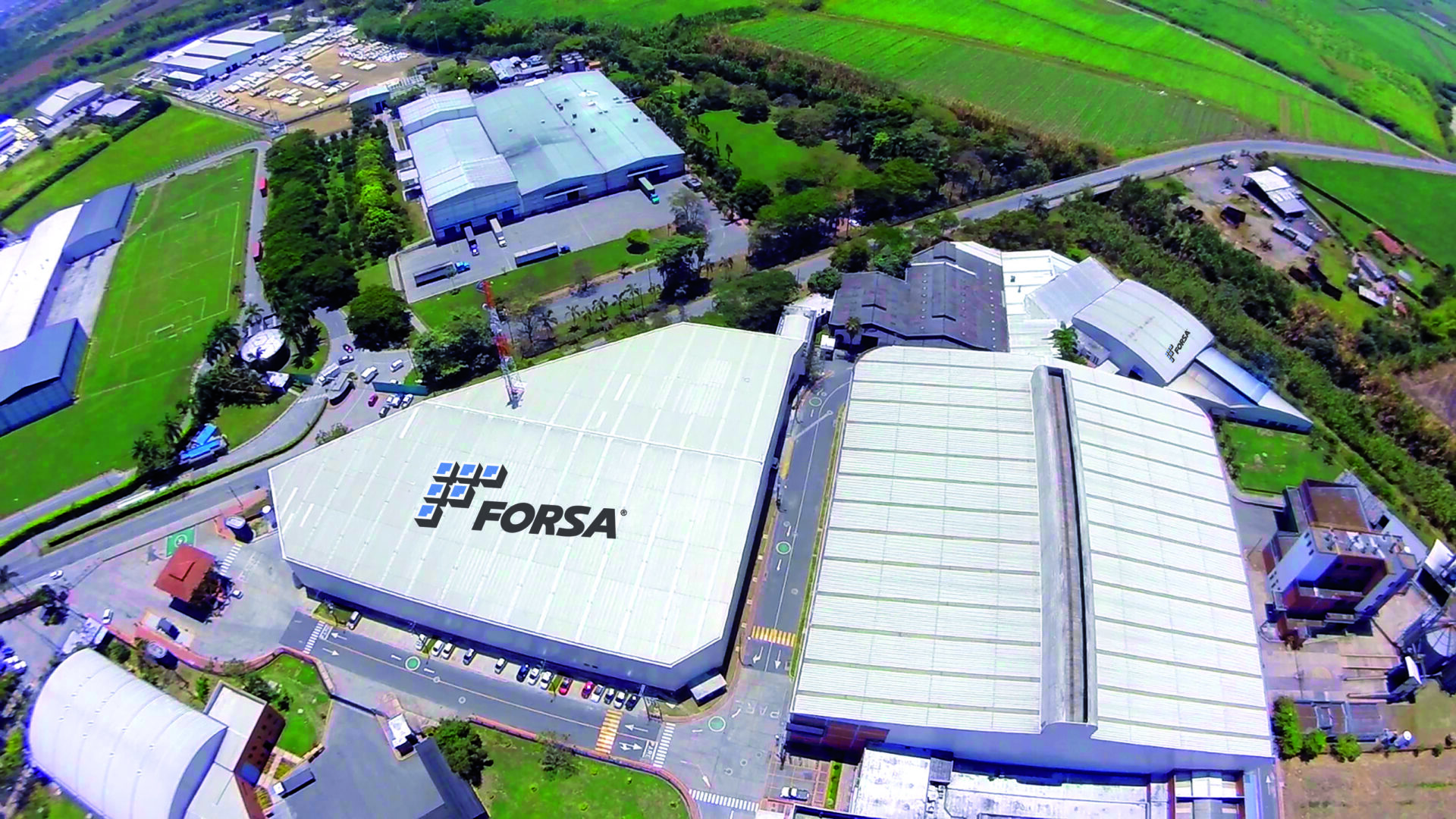 &Eta; &epsilon;&iota;&kappa;ό&nu;&alpha; &epsilon;ί&nu;&alpha;&iota; &epsilon;&upsilon;&gamma;&epsilon;&nu;&iota;&kappa;ή &pi;&rho;&omicron;&sigma;&phi;&omicron;&rho;ά &tau;&omicron;&upsilon; Forza
