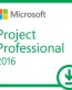 Microsoft Project 2016 Professional