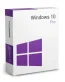 Windows 10 Pro