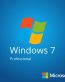 Windows 7 Professional