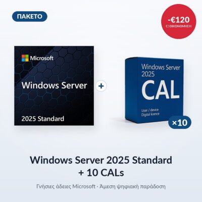 Windows Server 2025 Standard & 10 CALs
