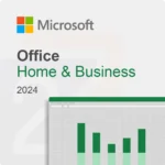 Microsoft Office Home & Business 2024
